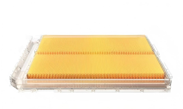 威睿金砖电池获得德国《商报》赞誉，中国品牌影响力大受认可