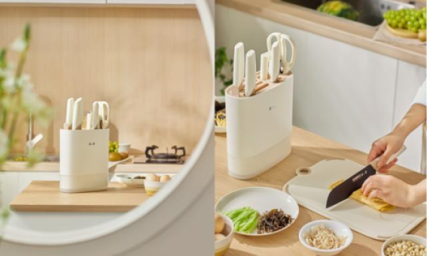 张小泉菜刀2024：创新、荣誉、技术三驾马车驱动品牌辉煌